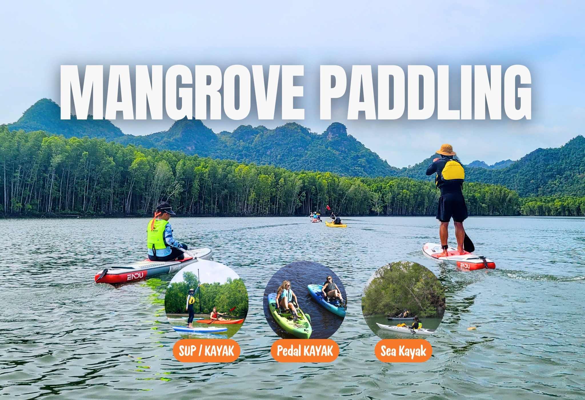 Mangrove Kayak/SUP Paddling Tour