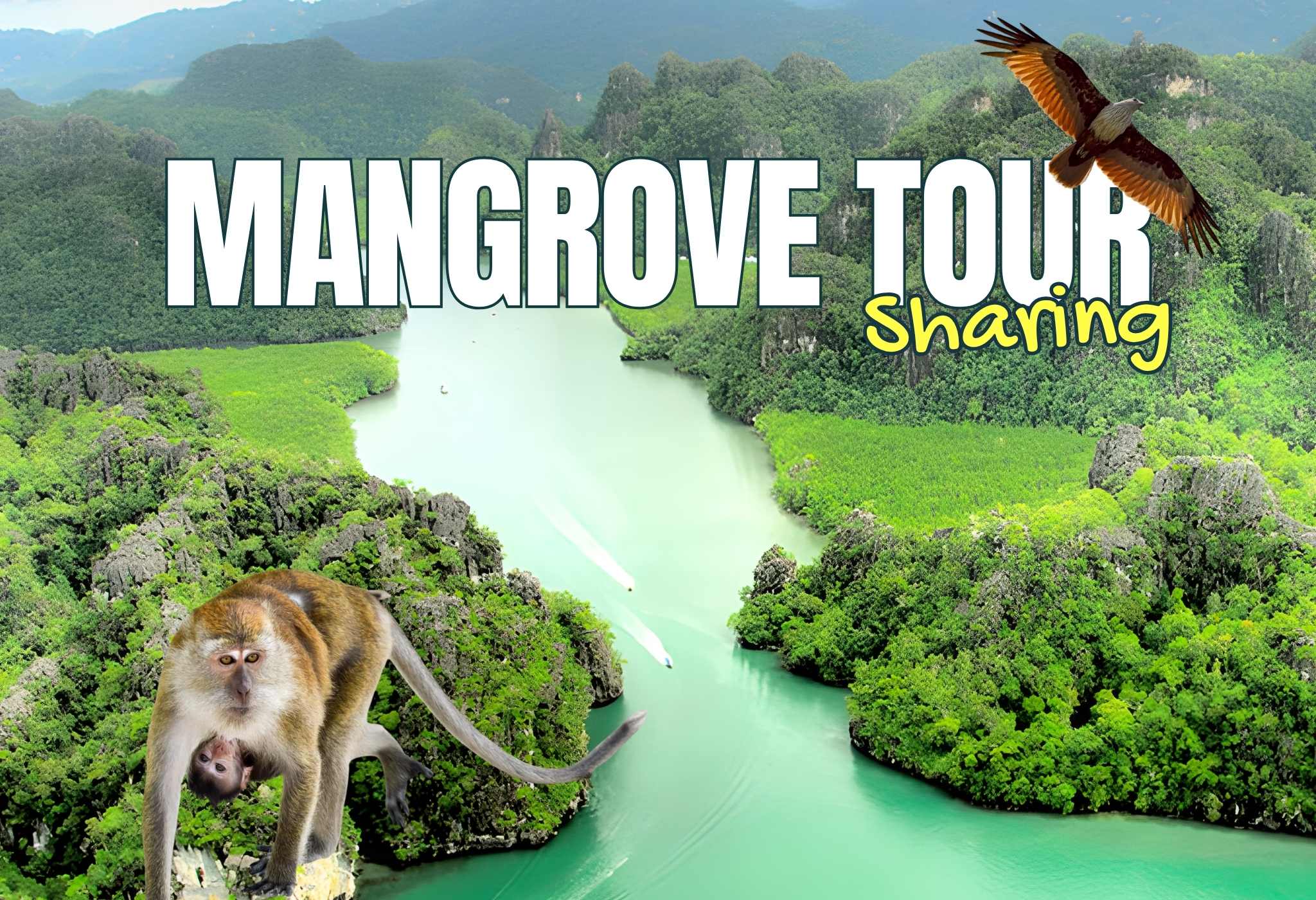 Mangrove Tour Sharing Pack 5~6 hrs